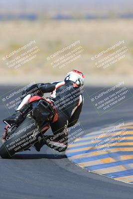 media/May-13-2023-SoCal Trackdays (Sat) [[8a473a8fd1]]/Turn 11 Backside (945am)/